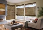 Tampa Shutter Company - Gator Blinds