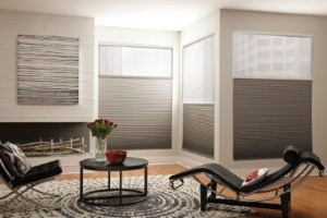 Best Window Treatment Professionals in Orlando, FL