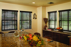 Citrus Park Shutter Company