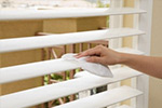 Tampa Window & Blind Cleaning