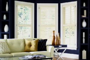 Best Window Treatment Professionals in Orlando, FL